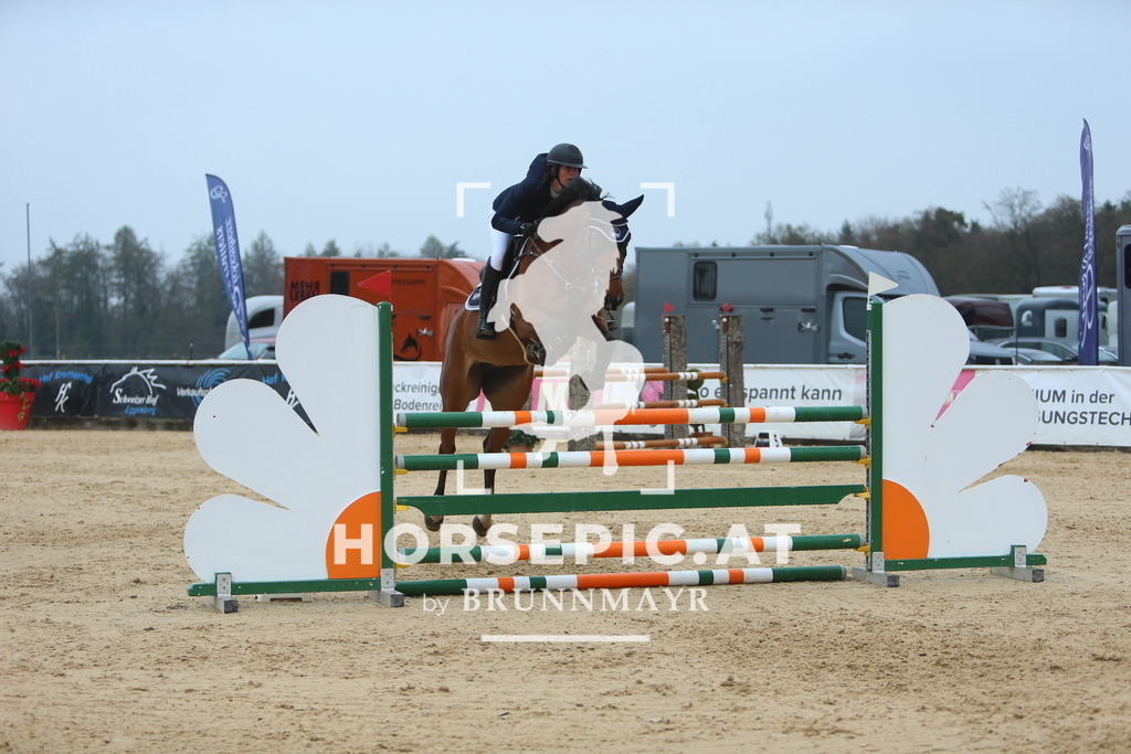 DL2Q6980 | Willkommen bei Brunnmayr - Design & Fotografie – Ihrem Spezialisten für Reitturniere und Pferdeveranstaltungen in Oberösterreich, Salzburg und Bayern! Seit über 17 Jahren sind wir leidenschaftlich dabei.