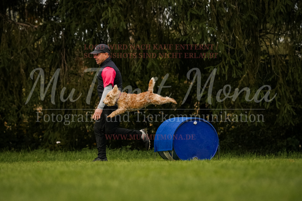 20251005_THS_Turnier-703 | MuT (Mensch und Tier) mit Mona - Fotografie und Tierkommunikation - Realisiert mit Pictrs.com