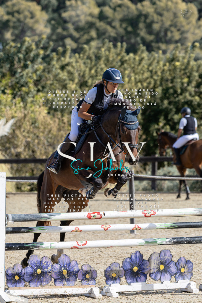 IMG_0586 | s-jay-photography - Realisiert mit Pictrs.com