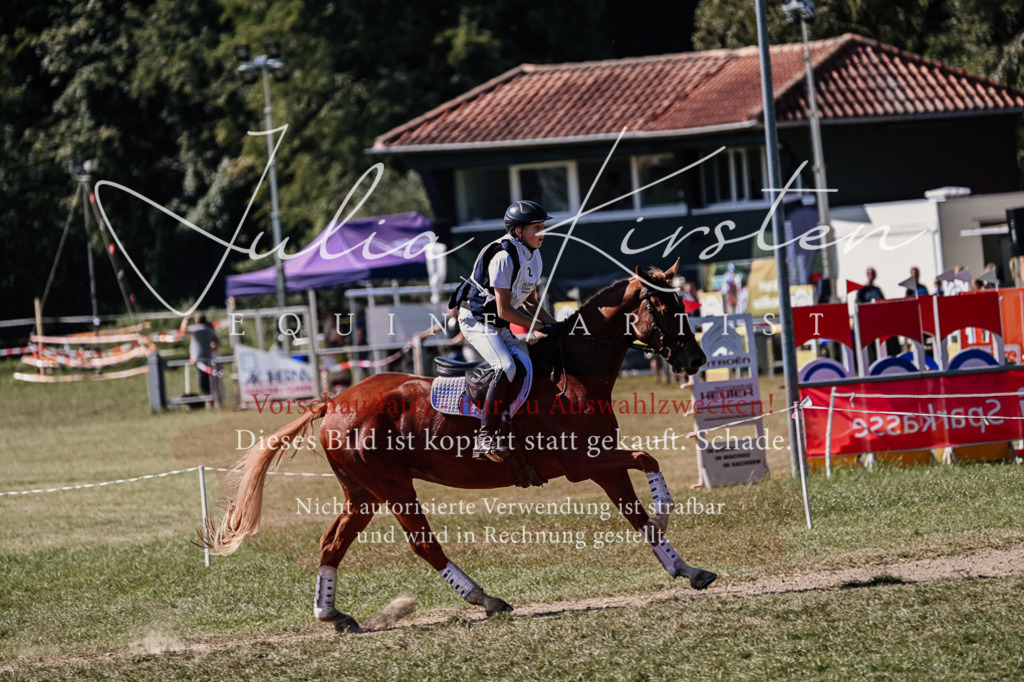 DSC_1345 | Pferde- und Turnierfotografie in Westsachsen. Pferdeportraits, Auftragszeichnungen und intuitive Kunst.