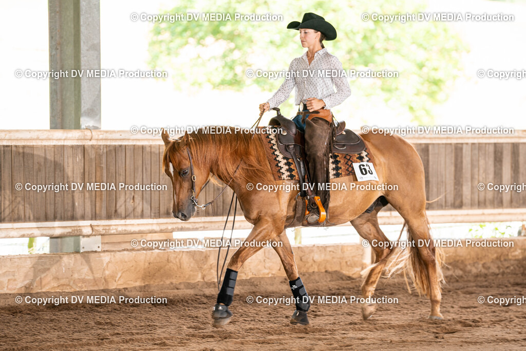 Erbach Tag 1-684 | dv-media-shop - Realisiert mit Pictrs.com