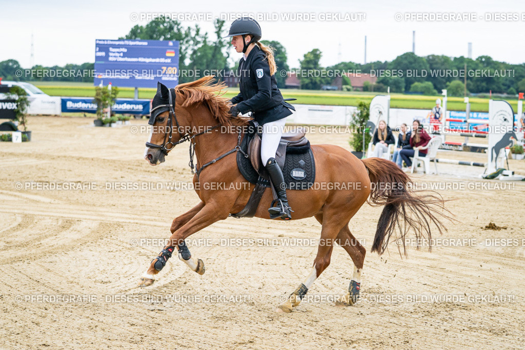 DSC04412 | Pferdegrafie