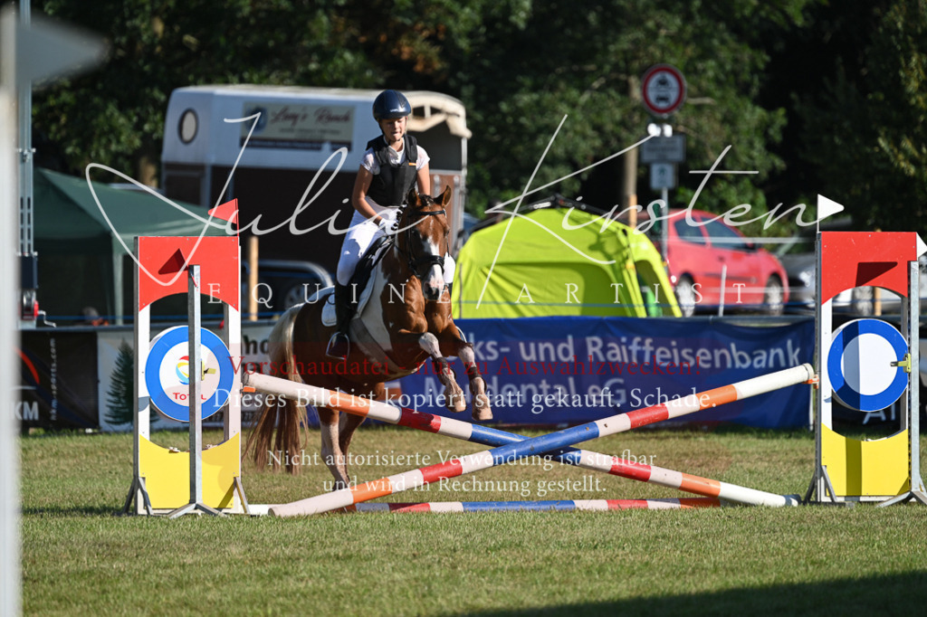 DSC_4888 | Pferde- und Turnierfotografie in Westsachsen. Pferdeportraits, Auftragszeichnungen und intuitive Kunst.