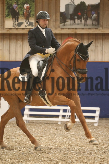 Turnier_Zeutern_2022_Prfg.Nr.02_Kurz-GrandPrix_Dirk Glitz_Elian Royale (18) | Alle Fotos der Reiterjournal Fotografin Doris Matthaes im Reiterjournal Online-Fotoshop. - Realisiert mit Pictrs.com