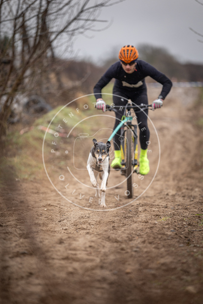 DV3A8867 | Hundefotografie, Tierfotograf, Pfotenfotografie, Fotoshooting Hund, Hunde Portrait, Hundesport, Hundeportraits, Heideshooting, Hunde, Sportfotograf, Hundefotograf, Turnierhundsport, THS,  - Realisiert mit Pictrs.com