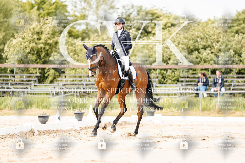 CK900714 | Turnierfotografie Pferdefotografie Trier Rheinland-Pfalz Pferdesport Reitsport Tierfotografie Sportfotografie Pferdevideo Pferdevideografie Equestrianvideography equestrianphotography  - Realisiert mit Pictrs.com
