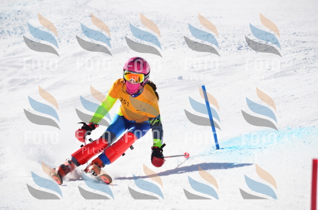 C8441 | holidayphoto