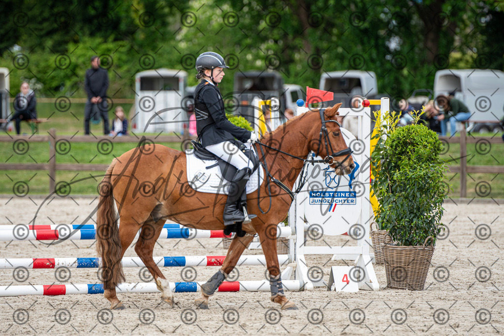 KPT_5912 | andre_photographic