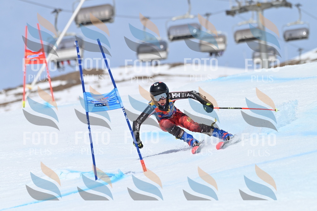 BGV_1578 | holidayphoto