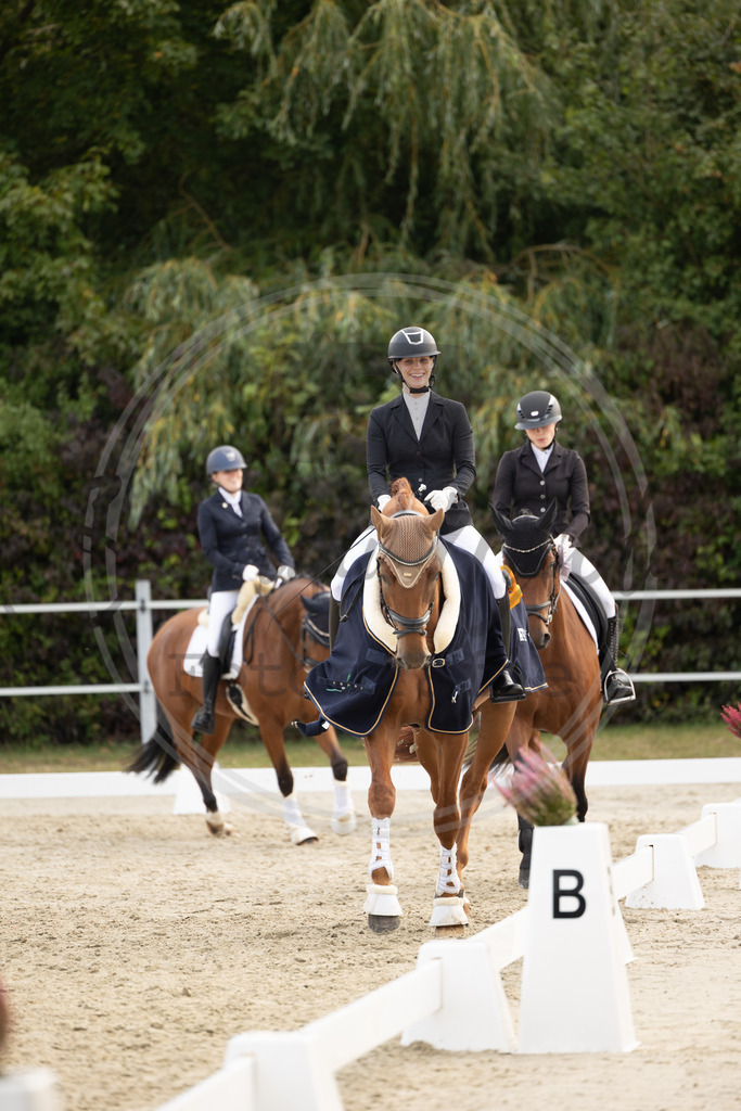 994A0883 | sabrinanicolaifotografie - Realisiert mit Pictrs.com