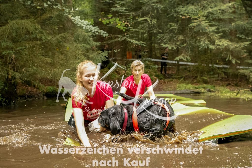 1214_ZZ93314-Bearbeitet | kk-dogfotos