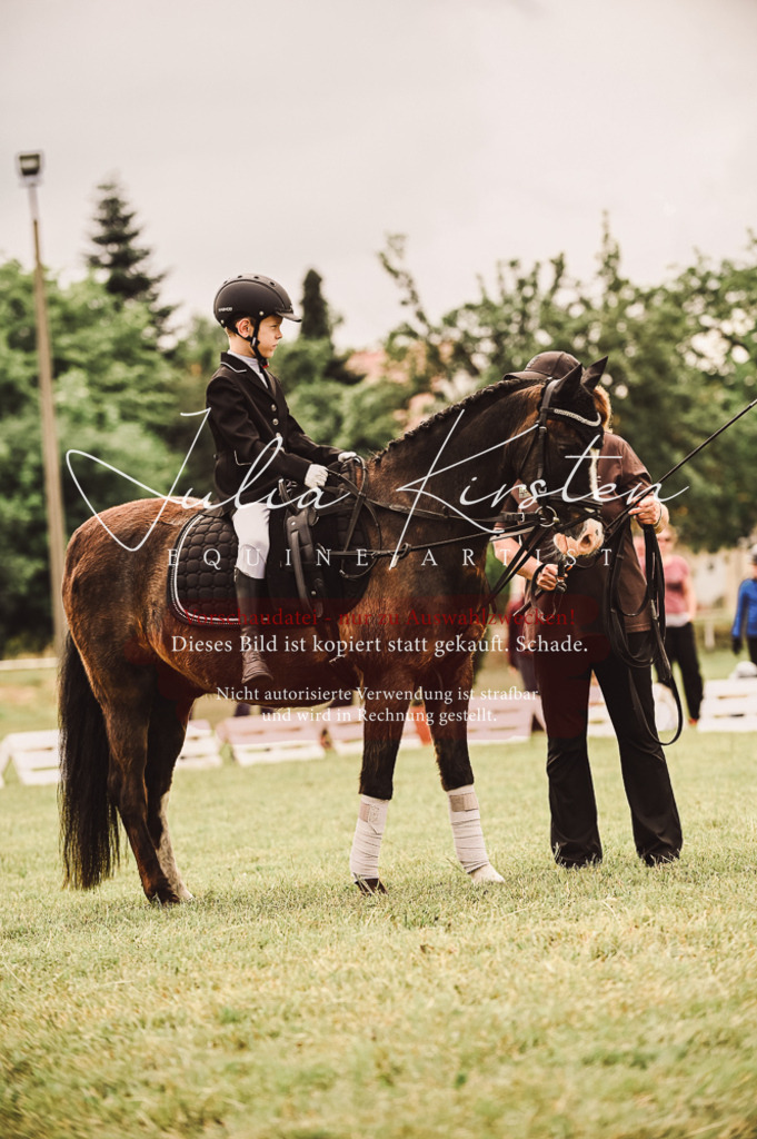 DSC_5354 | Pferde- und Turnierfotografie in Westsachsen. Pferdeportraits, Auftragszeichnungen und intuitive Kunst.