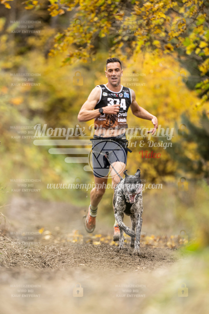 MompixPhotography_ICF_WC_2024_SA_Run_-311 | PayLife