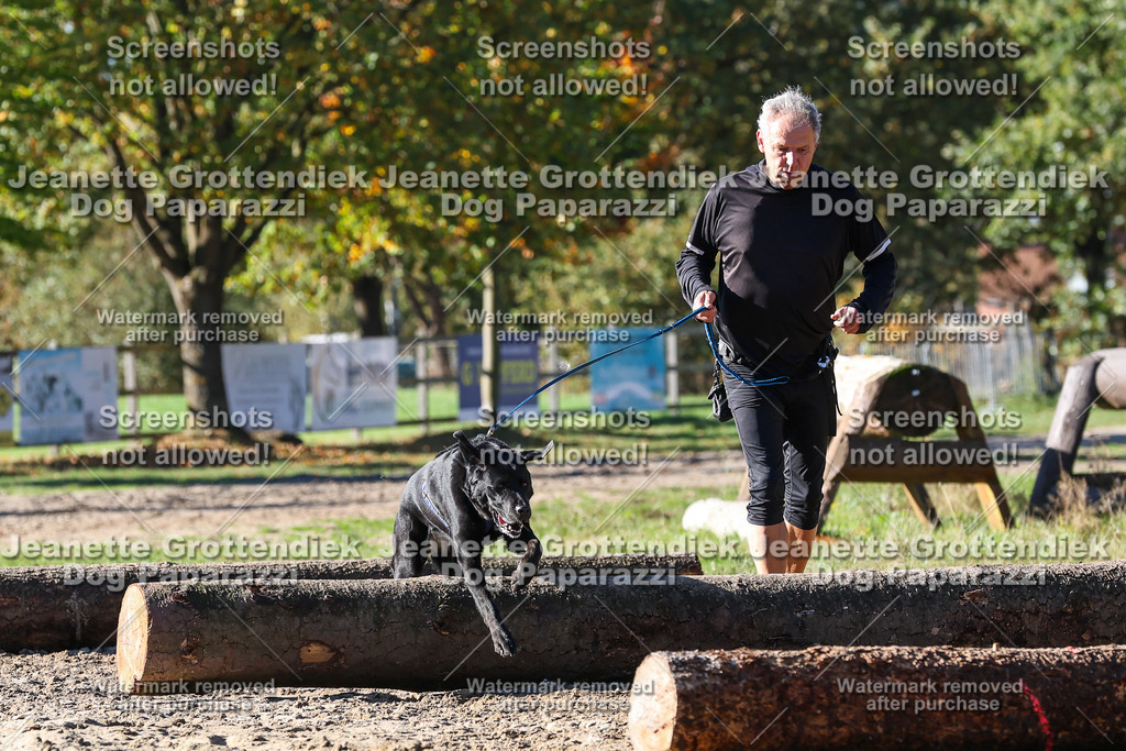 Dog Paparazzi - Strongdog 10-25-2416 | Dog Paparazzi Jeanette Grottendiek Fotografie & Videografie - Realisiert mit Pictrs.com