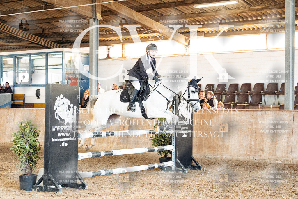 CK905284 | Turnierfotografie Pferdefotografie Trier Rheinland-Pfalz Pferdesport Reitsport Tierfotografie Sportfotografie Pferdevideo Pferdevideografie Equestrianvideography equestrianphotography  - Realisiert mit Pictrs.com