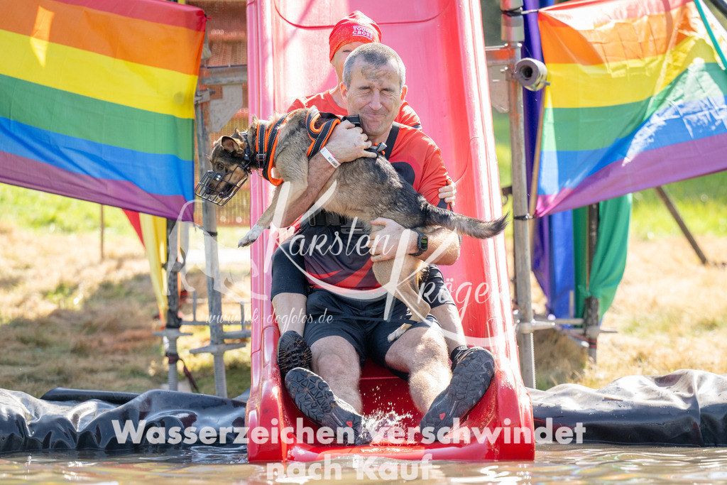1438_ZZ91297 | kk-dogfotos