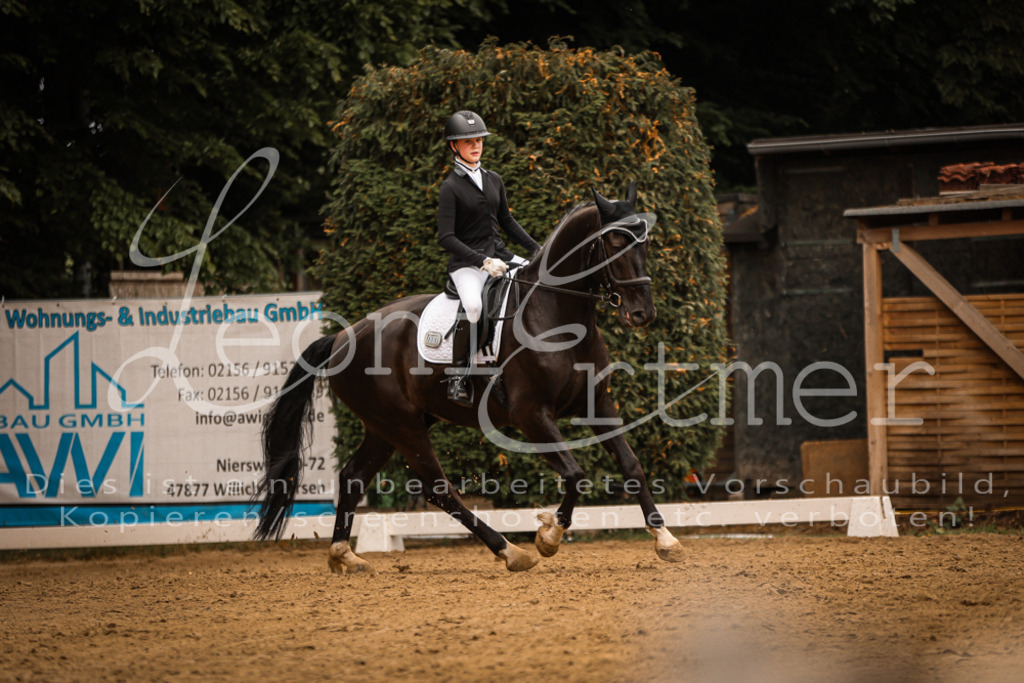 DoDrE00199 | Leoni Ertmer Photography - Realisiert mit Pictrs.com