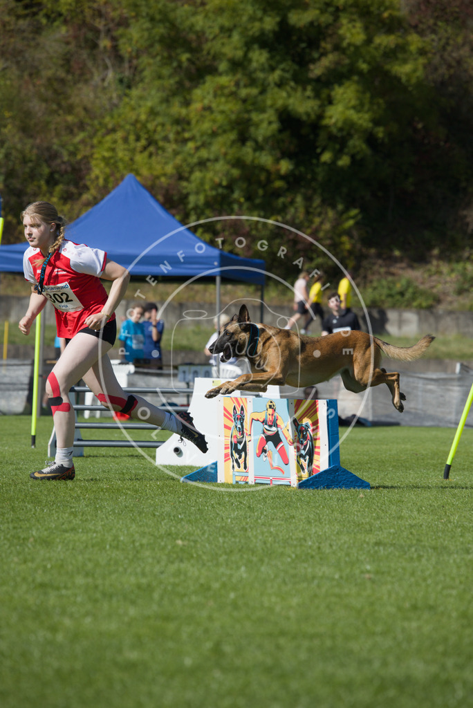 0L8A7264 | Hundefotografie, Tierfotograf, Pfotenfotografie, Fotoshooting Hund, Hunde Portrait, Hundesport, Hundeportraits, Heideshooting, Hunde, Sportfotograf, Hundefotograf, Turnierhundsport, THS,  - Realisiert mit Pictrs.com