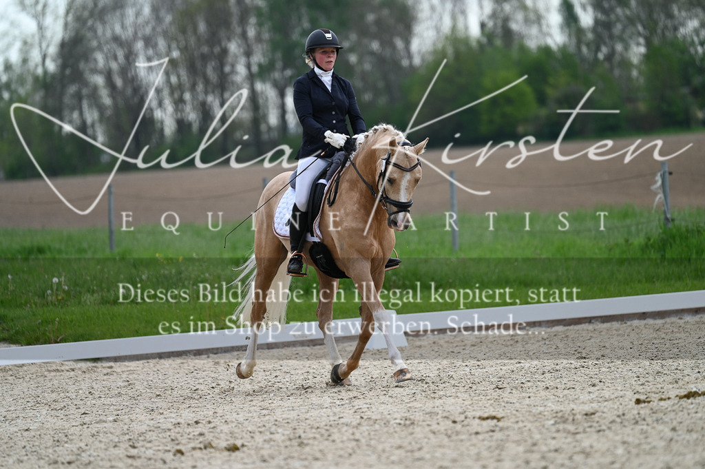 20230512_JK-Röhrsdorf-02-121 | Pferde- und Turnierfotografie in Westsachsen. Pferdeportraits, Auftragszeichnungen und intuitive Kunst.