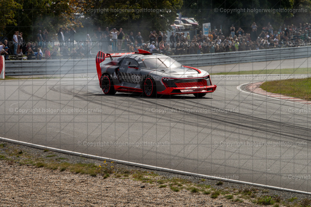 20250907114005D75_6783 | Bitte beachten!!!
Alle Fotos dieser Galerie sind nur grundbearbeitet. Im Falle eines Verkaufs, werde ich die Fotots noch mit dem nötigen Feinschliff versehen. - Realisiert mit Pictrs.com