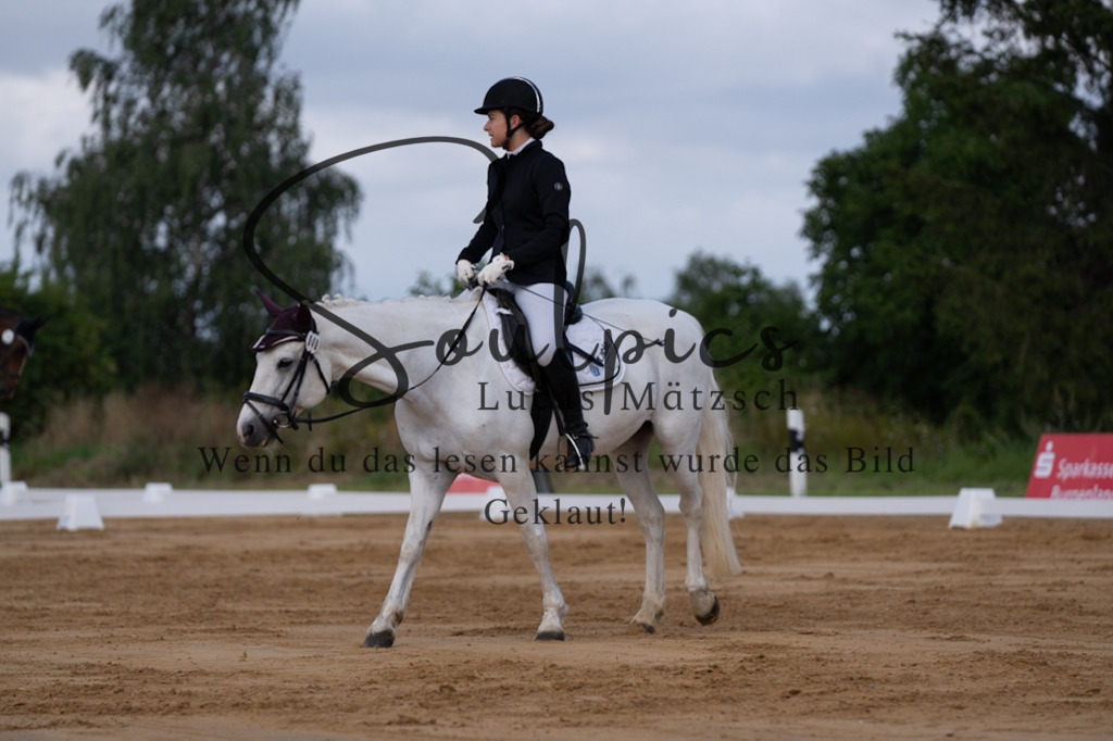 A7V05173 | Pferdefotograf