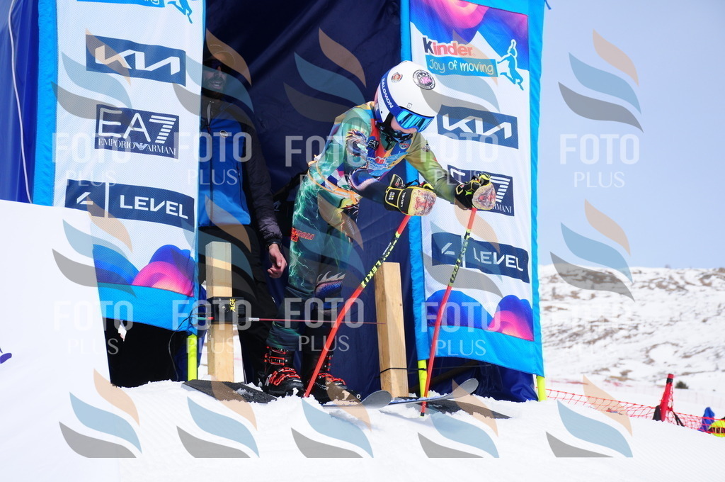 DSC_2315 | holidayphoto