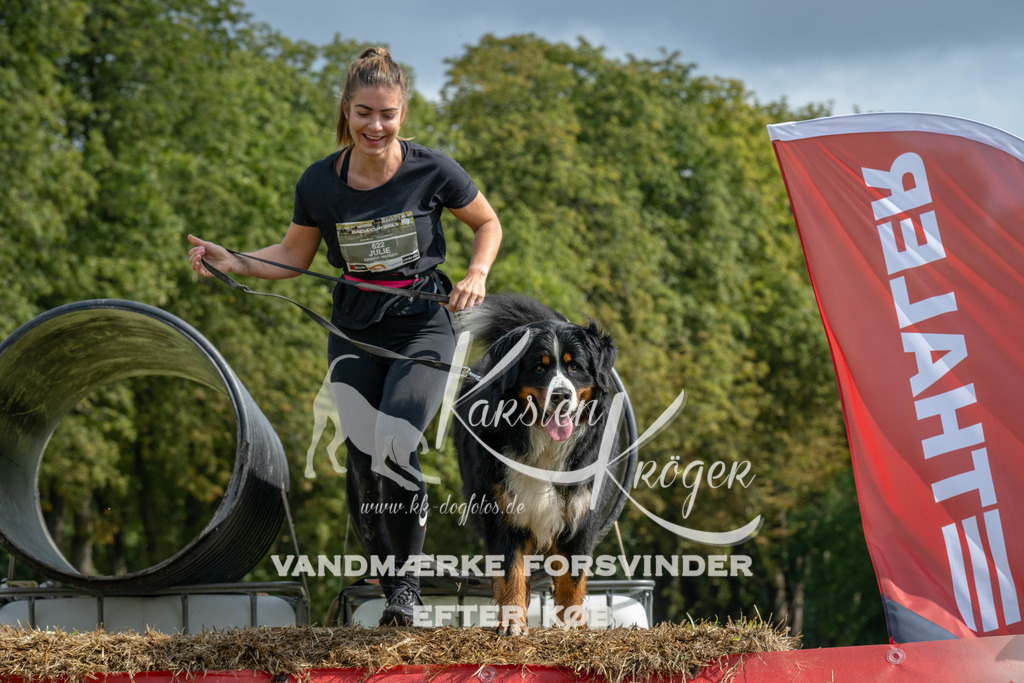 1135_ZZ94898 | kk-dogfotos