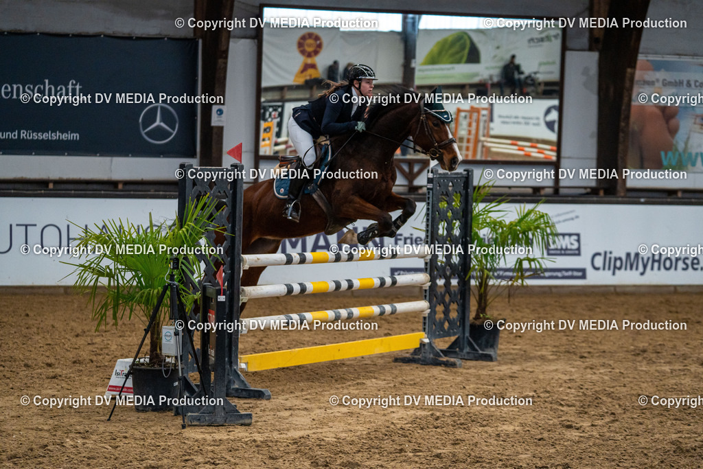 Kranichstein Tag 2-197 | dv-media-shop - Realisiert mit Pictrs.com