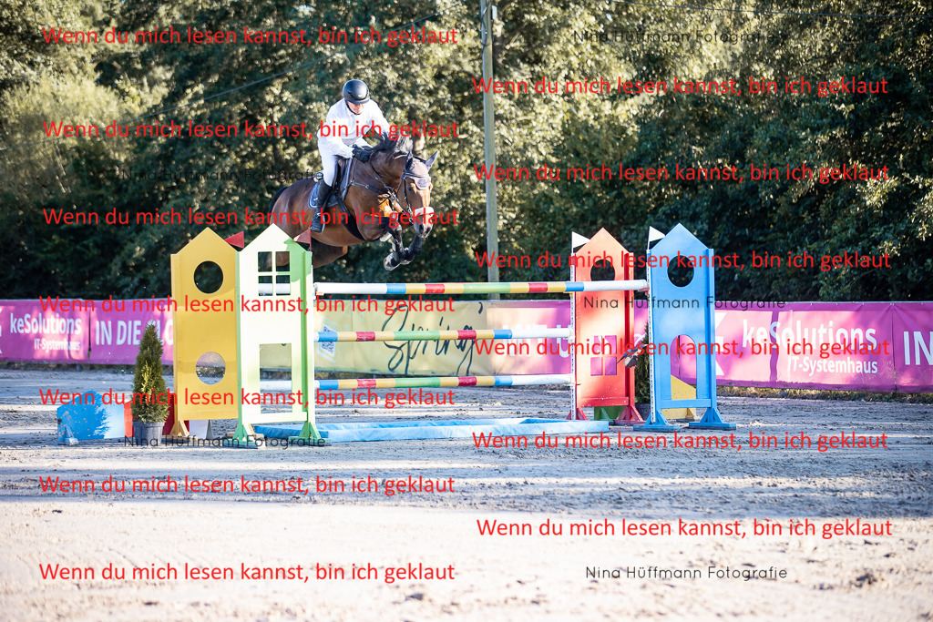 BK1A8804 | Turnierbilder Turnierfotos Nina Hüffmann Turnierfotografie Pferdefotografie Tierzeichnung Haustierzeichnung Pferdezeichnung Hundezeichnung Videograf  - Realisiert mit Pictrs.com