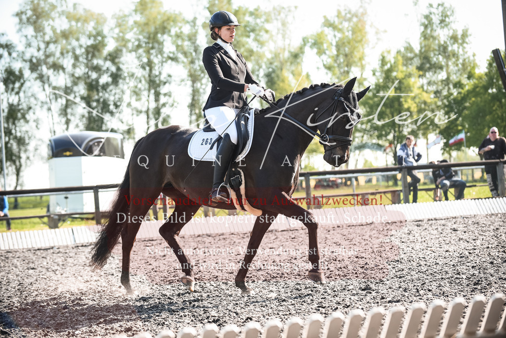 DSC_8375 | Pferde- und Turnierfotografie in Westsachsen. Pferdeportraits, Auftragszeichnungen und intuitive Kunst.