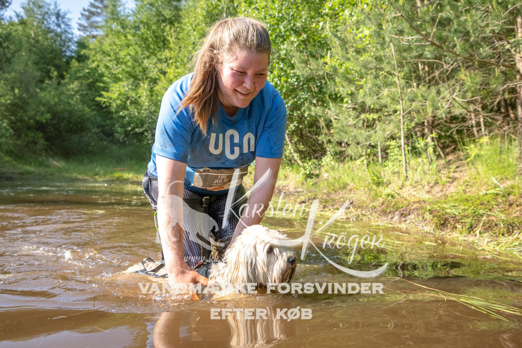1716DKK991960 | kk-dogfotos