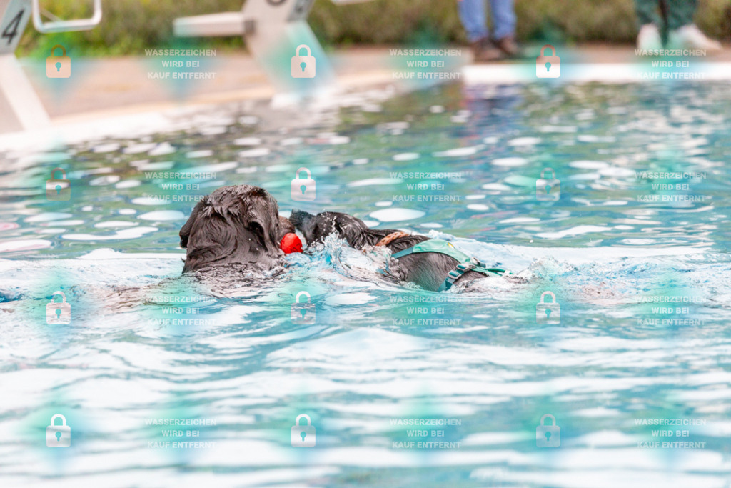 _HP_7283_1000o | HetPix, HetPix Fotodesign, Fotografie, Fotodesign, Webshop, Sportfotografie, Portraitfotografie, Onlineshop, Sportfotografie, Polch, Motorsportfotografie, Eventfotografie