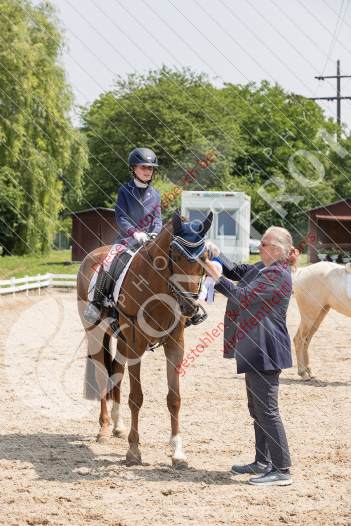 IMG_4058 | Sport-, Event- und Tierfotos in Profiqualität. Einfach auswählen, bestellen und herunterladen. Dein Moment – perfekt festgehalten.