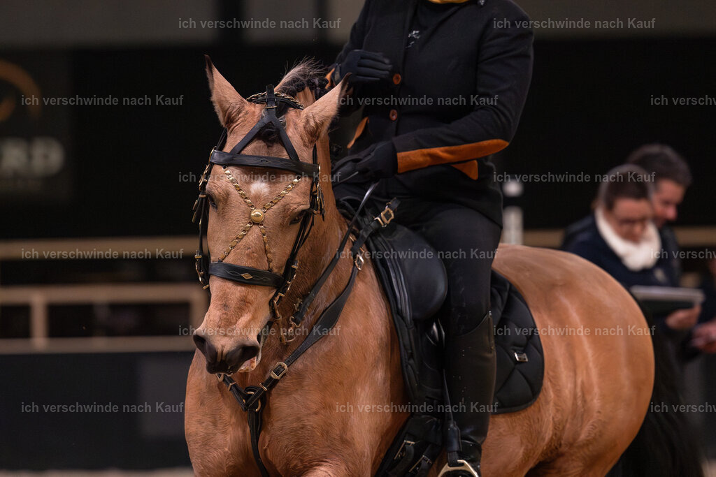 JoseraCup-146 | working equitationturnier fotograf videograf stoibphotography marixx film working equitation deutschland reitsport turnierfotografie eventfotografie equestrian events