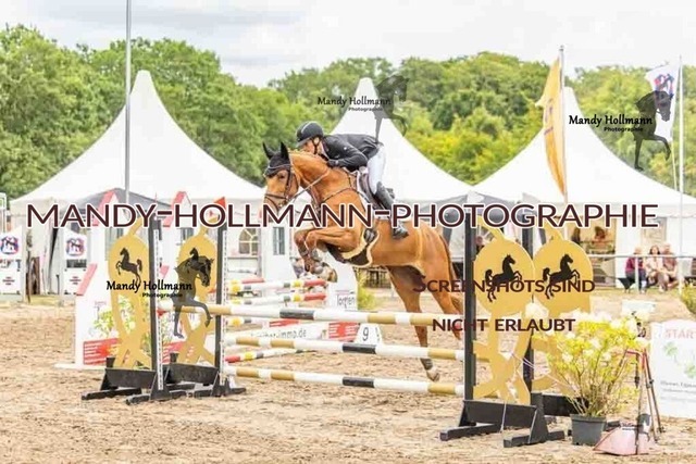 26-8-7 SPR A++-28 | mandyhollmannphotographie