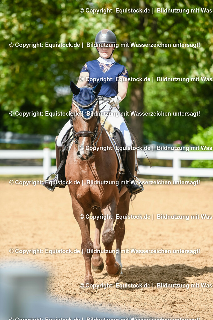 20230716_01_Dressurprüfung Kl.M_0357 | equistock