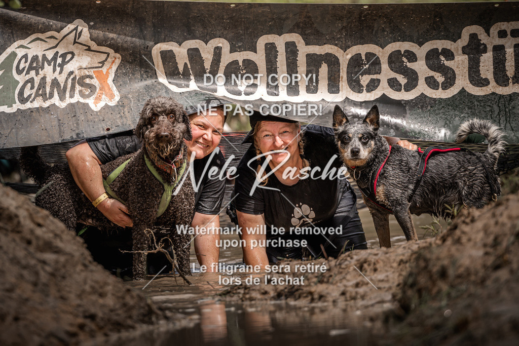 nelerasche_Hoope2026_Sa1100-1130_658 | nelerasche