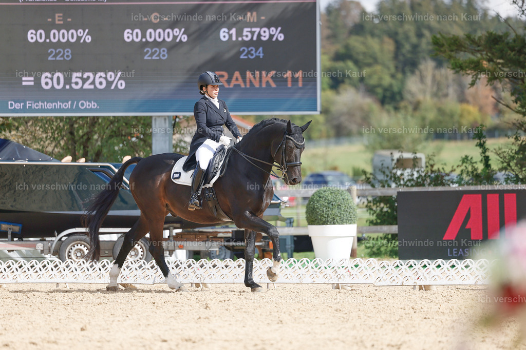 09_2-183-DRESSUR  S_  -StoibPH-5892 | working equitationturnier fotograf videograf stoibphotography marixx film working equitation deutschland reitsport turnierfotografie eventfotografie equestrian events