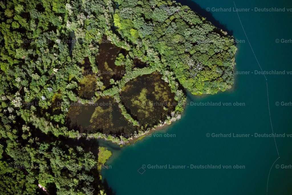 4033969 | OPFINGEN 30.06.2020 Biotopschutzgebiet am " Opfinger See " in Opfingen im Bundesland Baden-Württemberg, Deutschland. // Biotope protection area at the " Opfinger See " in Opfingen in the state Baden-Wuerttemberg, Germany. Foto: Gerhard Launer