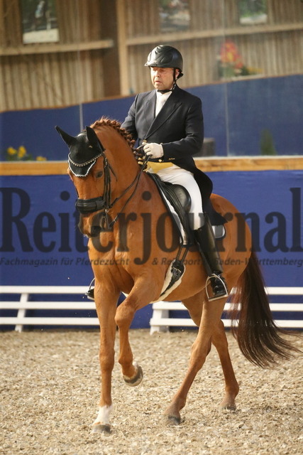 Turnier_Zeutern_2022_Prfg.Nr.02_Kurz-GrandPrix_Dirk Glitz_Elian Royale (2) | Alle Fotos der Reiterjournal Fotografin Doris Matthaes im Reiterjournal Online-Fotoshop. - Realisiert mit Pictrs.com