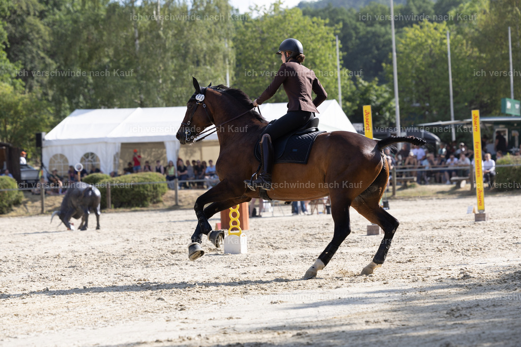 WS_SPEED_111_KerstinBernhardt-2 | working equitationturnier fotograf videograf stoibphotography marixx film working equitation deutschland reitsport turnierfotografie eventfotografie equestrian events