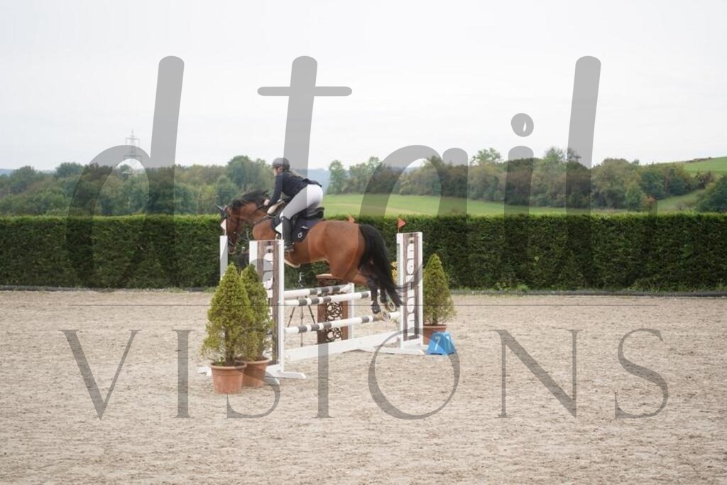 pfmagarethenhof (414) | d.tail Visions - Shop - Realisiert mit Pictrs.com