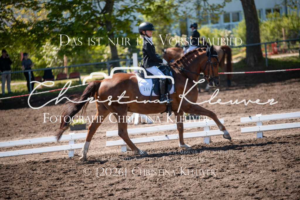 DSC_6040 | Christina-Kleuver