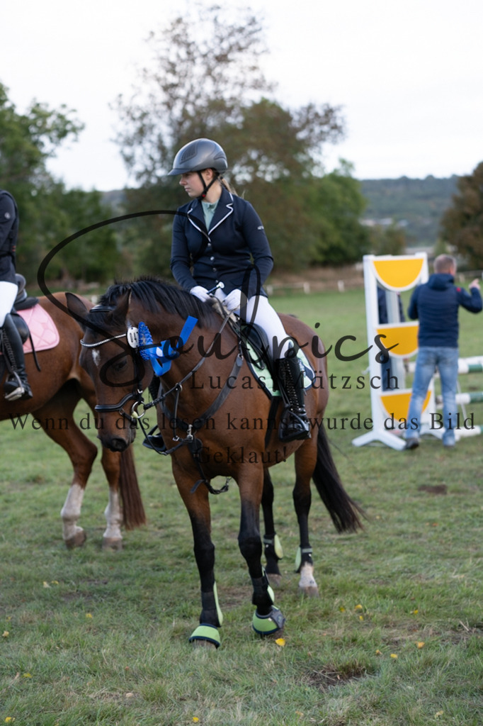 A7V06251 | Pferdefotograf