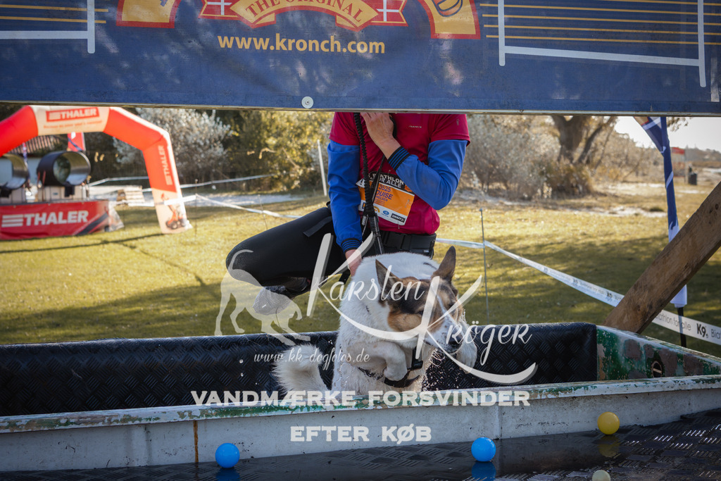 1227_ZZ96424-2 | kk-dogfotos