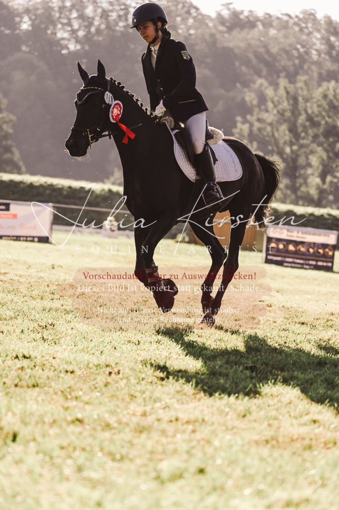 DSC_4582 | Pferde- und Turnierfotografie in Westsachsen. Pferdeportraits, Auftragszeichnungen und intuitive Kunst.
