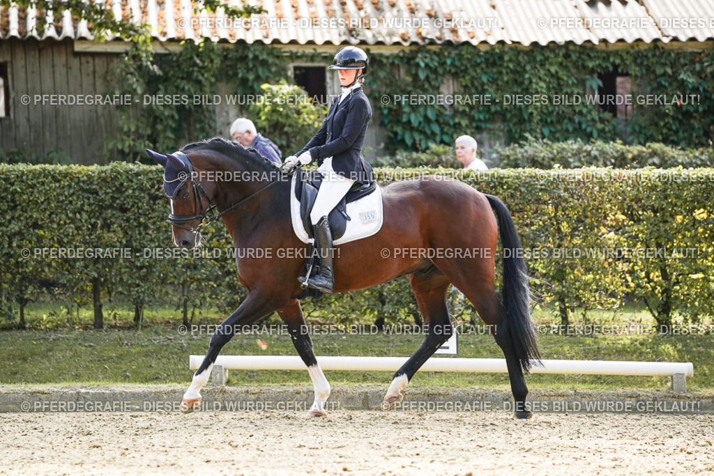 DSC08856 | Pferdegrafie