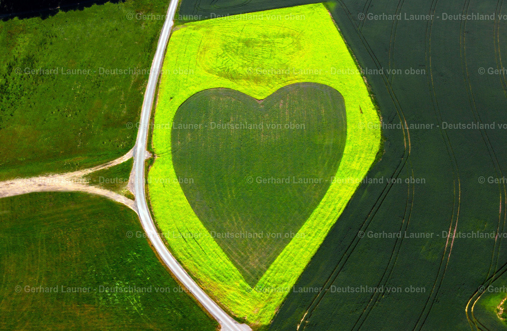 2629759 | Herz im Feld bei Hof