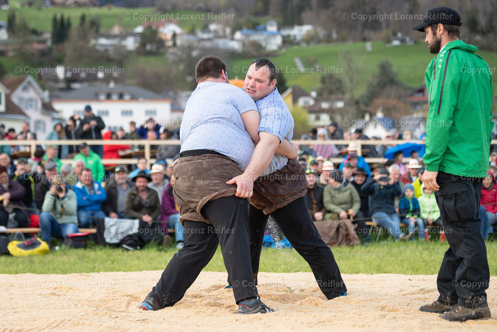 Schwingen -  Rheintal-Oberländer 2023 | Altstätten, 2.4.23, Schwingen - Rheintal-Oberländer.