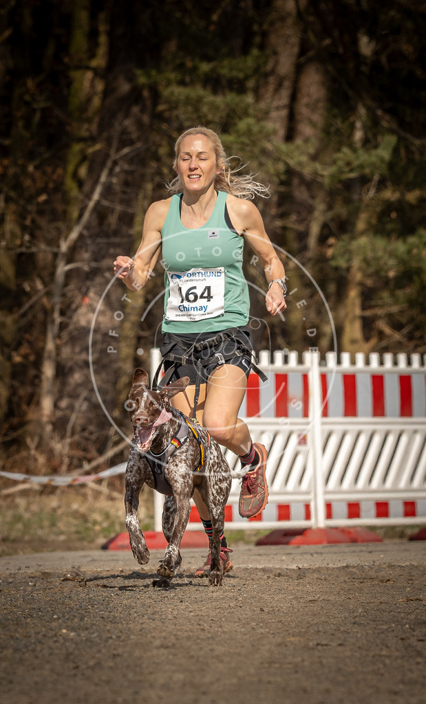 DV3A5592 | Hundefotografie, Tierfotograf, Pfotenfotografie, Fotoshooting Hund, Hunde Portrait, Hundesport, Hundeportraits, Heideshooting, Hunde, Sportfotograf, Hundefotograf, Turnierhundsport, THS,  - Realisiert mit Pictrs.com